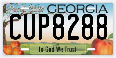 GA license plate CUP8288