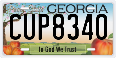GA license plate CUP8340