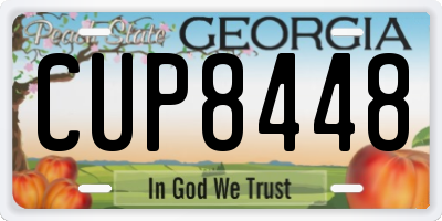 GA license plate CUP8448