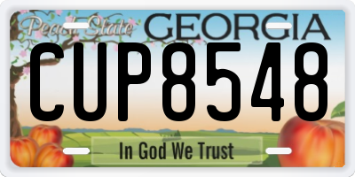 GA license plate CUP8548