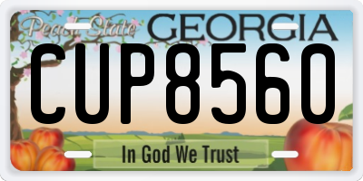 GA license plate CUP8560
