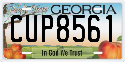 GA license plate CUP8561