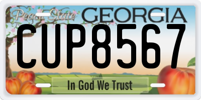 GA license plate CUP8567