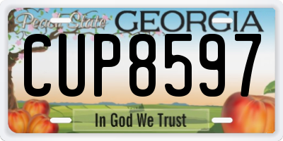 GA license plate CUP8597