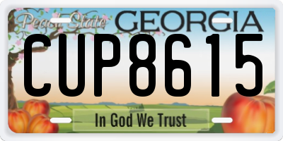 GA license plate CUP8615