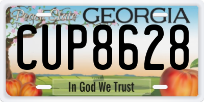 GA license plate CUP8628