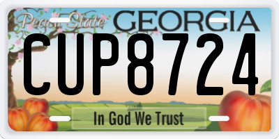 GA license plate CUP8724
