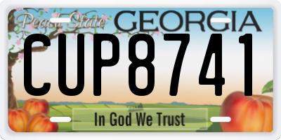 GA license plate CUP8741