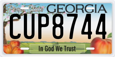 GA license plate CUP8744