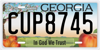 GA license plate CUP8745