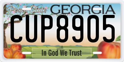 GA license plate CUP8905