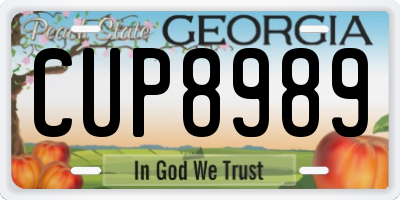 GA license plate CUP8989
