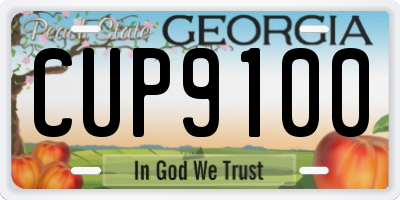 GA license plate CUP9100