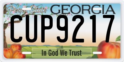 GA license plate CUP9217