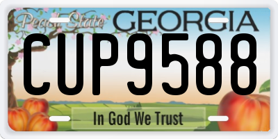 GA license plate CUP9588