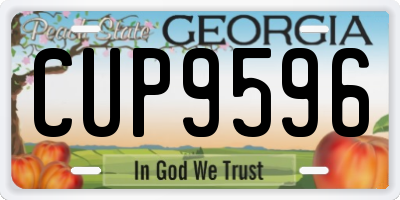 GA license plate CUP9596