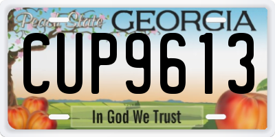 GA license plate CUP9613