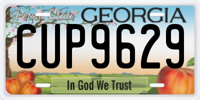 GA license plate CUP9629