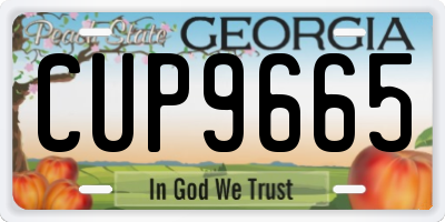 GA license plate CUP9665