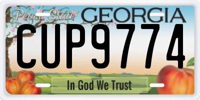 GA license plate CUP9774