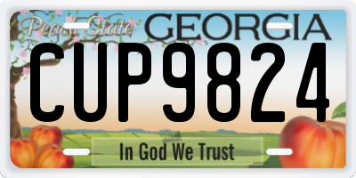 GA license plate CUP9824