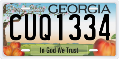 GA license plate CUQ1334