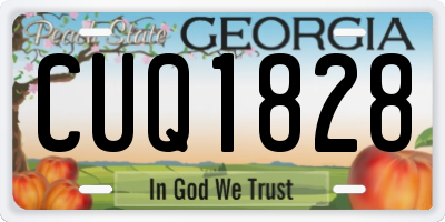 GA license plate CUQ1828