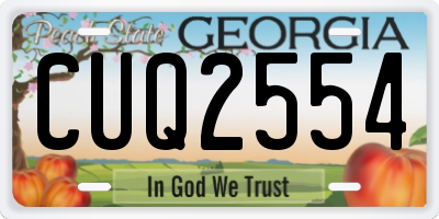GA license plate CUQ2554