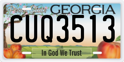 GA license plate CUQ3513