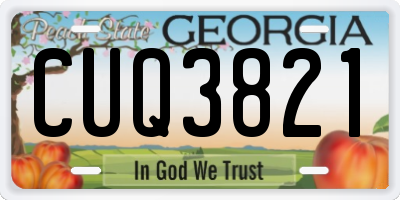 GA license plate CUQ3821