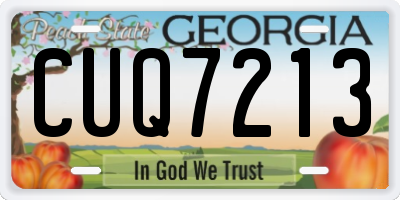 GA license plate CUQ7213
