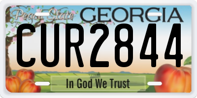 GA license plate CUR2844