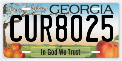 GA license plate CUR8025