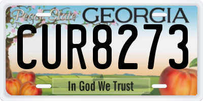 GA license plate CUR8273