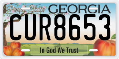 GA license plate CUR8653