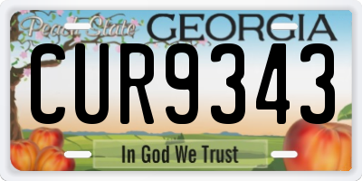GA license plate CUR9343