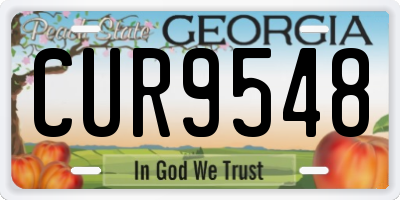 GA license plate CUR9548