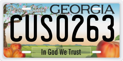 GA license plate CUS0263