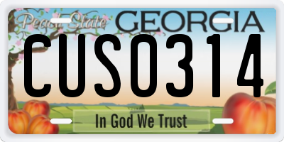 GA license plate CUS0314