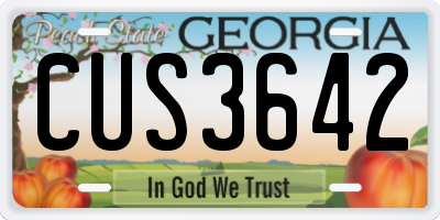 GA license plate CUS3642