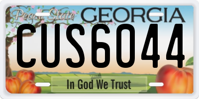 GA license plate CUS6044