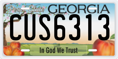 GA license plate CUS6313
