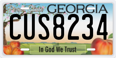 GA license plate CUS8234