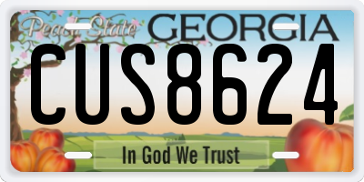 GA license plate CUS8624