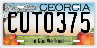 GA license plate CUT0375
