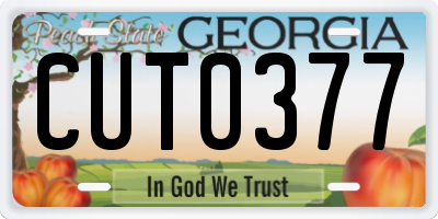 GA license plate CUT0377