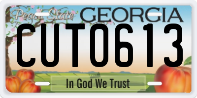 GA license plate CUT0613