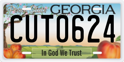 GA license plate CUT0624