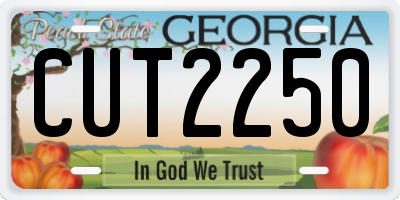 GA license plate CUT2250