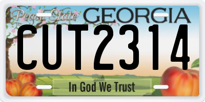 GA license plate CUT2314